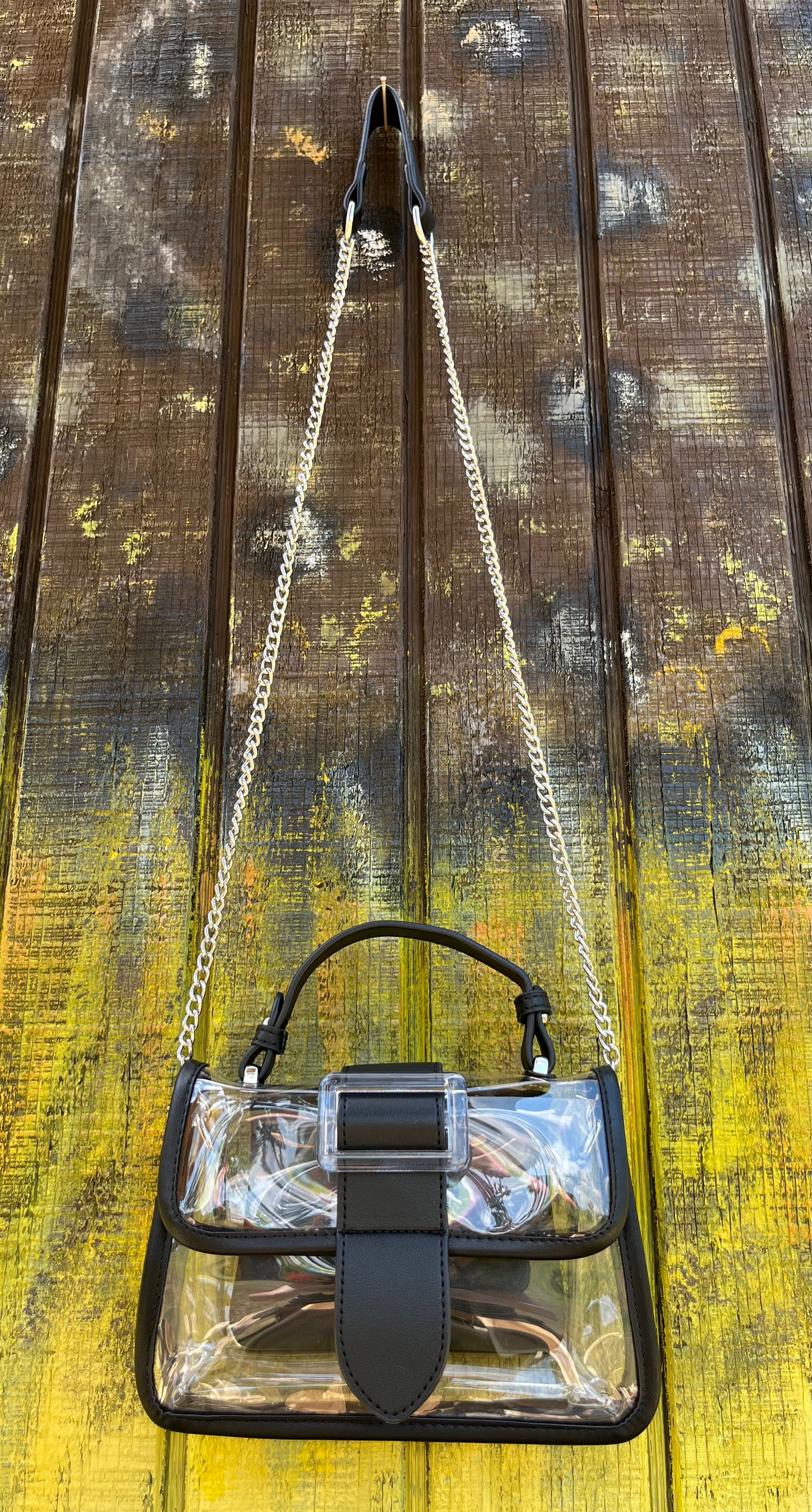 Translucent buckle purse by Miss Sparkling showing clear plastic material with a silver buckle closure and compact design.