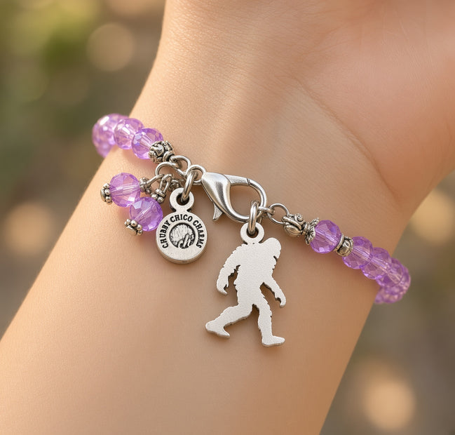 Chubby Chico Charms Sasquatch Bigfoot Splash of Color Crystal bracelet with vibrant multicolored beads and silver-tone accents.