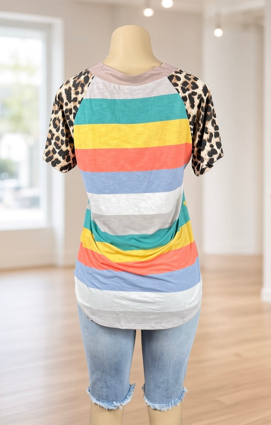 Leopard and Colorful Stripes