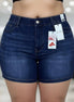 Pair of Judy Blue denim plus size shorts.